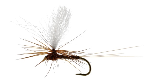 Marginata Dun Biot Brown TMC100 dans le groupe Leurre de la peche / Mouches / Mouches sèches l\'adresse Sportfiskeprylar.se (FL32130r)