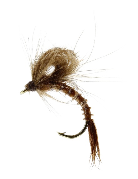 Marginata Emerger Biot Brown TMC212TR #13 dans le groupe Leurre de la peche / Mouches / Mouches sèches l\'adresse Sportfiskeprylar.se (FL32135)