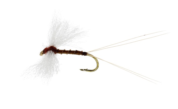 Marginata Spinner Biot Brown TMC100 dans le groupe Leurre de la peche / Mouches / Mouches sèches l\'adresse Sportfiskeprylar.se (FL32140r)
