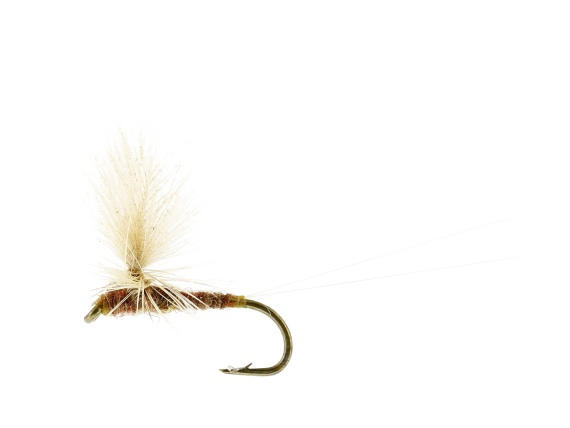 Ignita Dun Ginger TMC100 #16 dans le groupe Leurre de la peche / Mouches / Mouches sèches l\'adresse Sportfiskeprylar.se (FL32155)