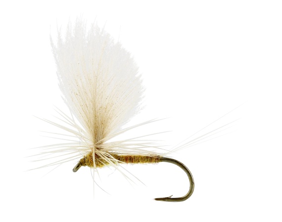 Sulphurea Dun Ginger TMC100 #12 dans le groupe Leurre de la peche / Mouches / Mouches sèches l\'adresse Sportfiskeprylar.se (FL32165)