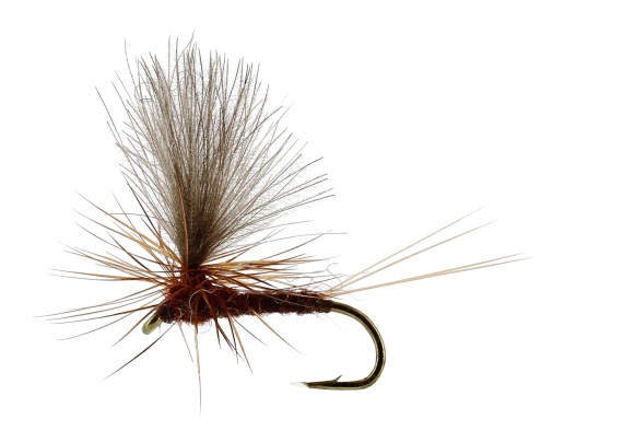 Vespertina Dun Brown TMC100 dans le groupe Techniques de pêche / Peche a la mouche / Mouches / Mouches sèches l\'adresse Sportfiskeprylar.se (FL32170r)