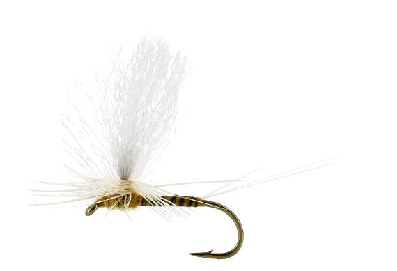 Sulphurea Dun Quill Yellow TMC100 dans le groupe Techniques de pêche / Peche a la mouche / Mouches / Mouches sèches l\'adresse Sportfiskeprylar.se (FL32200r)