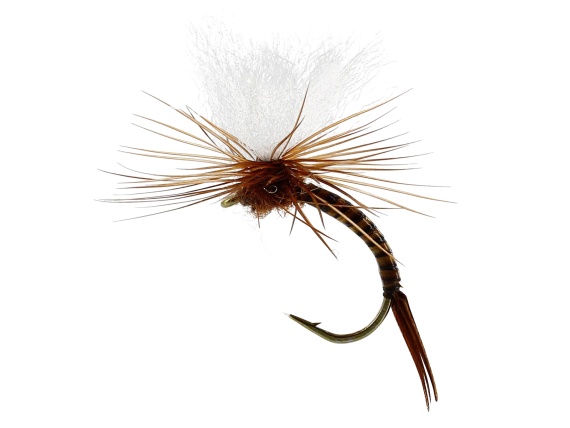 Aurivilli Emerger Quill Brown TMC212TR #13 dans le groupe Leurre de la peche / Mouches / Mouches sèches l\'adresse Sportfiskeprylar.se (FL32205)