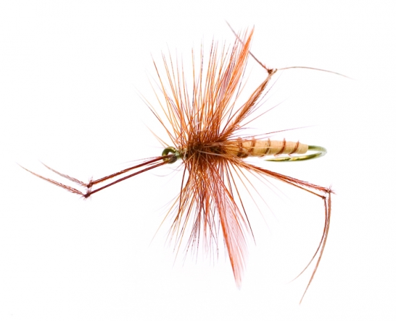 Daddy Long legs Tan/Brown TMC 2302 #12 dans le groupe Leurre de la peche / Mouches / Mouches sèches l\'adresse Sportfiskeprylar.se (FL44108)