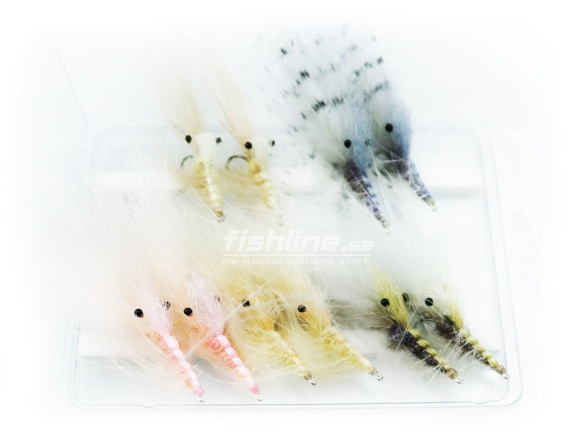 FLy Assorment Pattegrisen Edition 10pcs dans le groupe Leurre de la peche / Mouches / Mouches tube l\'adresse Sportfiskeprylar.se (FL99103)