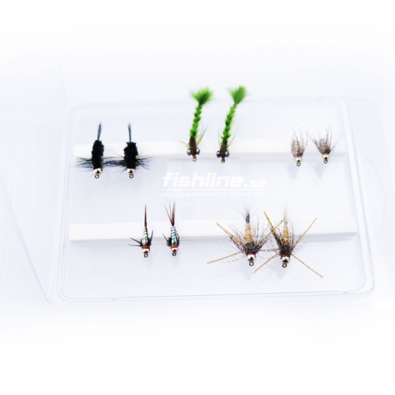 FLy Assorment Nymphs 10pcs dans le groupe Leurre de la peche / Mouches / Mouches tube l\'adresse Sportfiskeprylar.se (FL99105)