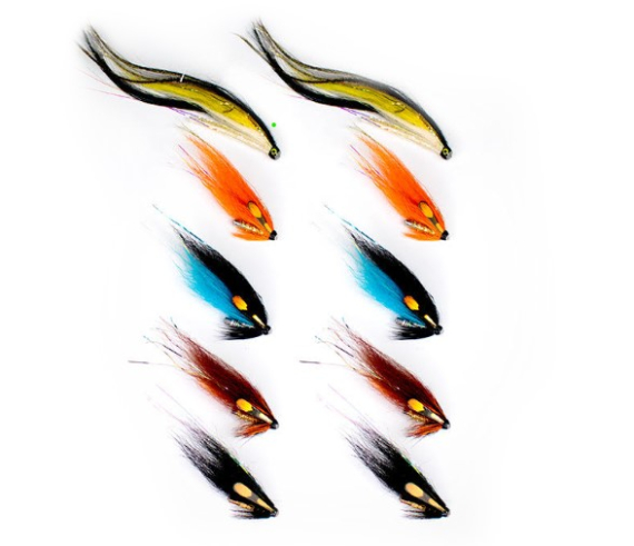 Fly Assortment Salmon High Water dans le groupe Leurre de la peche / Mouches / Mouches tube l\'adresse Sportfiskeprylar.se (FL99108)