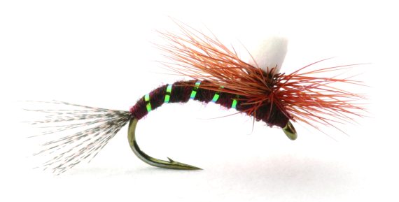 Ephemerella Klekker dans le groupe Leurre de la peche / Mouches / Mouches sèches l\'adresse Sportfiskeprylar.se (GL46169r)