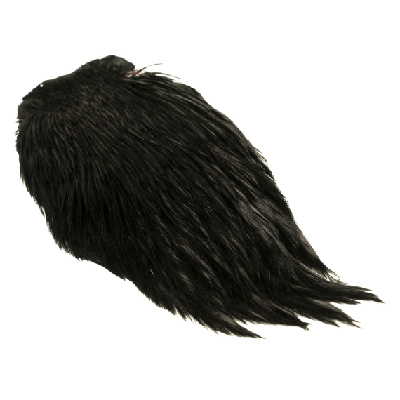Indisk tuppnacke - Black dans le groupe Hameçons et terminal tackle / Fabrication mouche / Matériel de montage de mouches / Plumes et capes / Capes et selles l\'adresse Sportfiskeprylar.se (GN28-31)