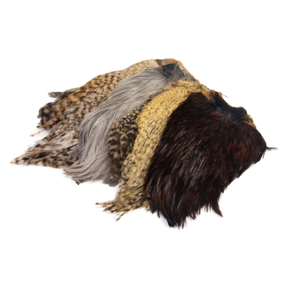 Indisk tuppnacke dans le groupe Hameçons et terminal tackle / Fabrication mouche / Matériel de montage de mouches / Plumes et capes / Capes et selles l\'adresse Sportfiskeprylar.se (GN28-31r)