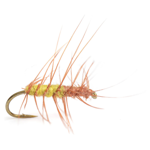 Superpuppa Olive/Rust size 12 dans le groupe Leurre de la peche / Mouches / Mouches sèches l\'adresse Sportfiskeprylar.se (HF0143-12)