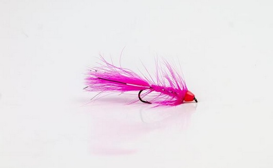 Wolly Bugger Cone Pink size 8 dans le groupe Leurres / Mouches / Streamers l\'adresse Sportfiskeprylar.se (HF1227-8)