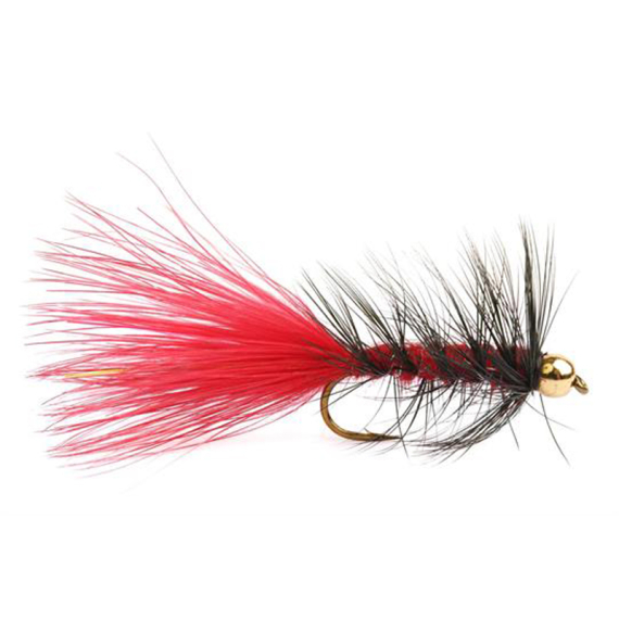 Wolly Bugger Gold Head Red Black size 8 dans le groupe Leurre de la peche / Mouches / Streamers l\'adresse Sportfiskeprylar.se (HF1231-8)