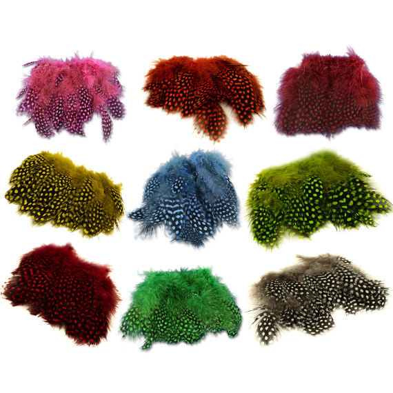 Strung Guinea Feathers dans le groupe Hameçons et terminal tackle / Fabrication mouche / Matériel de montage de mouches / Plumes et capes / Hackle l\'adresse Sportfiskeprylar.se (HL-SGF6r)