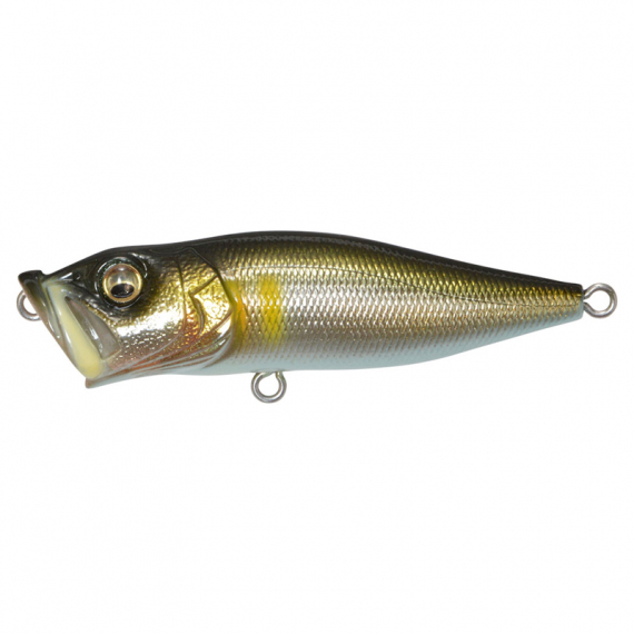 Megabass PopX - Takumi Seochi Ayu dans le groupe Leurre de la peche / Leurre de surface l\'adresse Sportfiskeprylar.se (MB-00000035757)