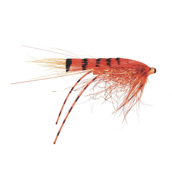 Frödin Micro Series - G.P Special dans le groupe Techniques de pêche / Peche a la mouche / Mouches / Mouches à saumon l\'adresse Sportfiskeprylar.se (MSGP-03r)