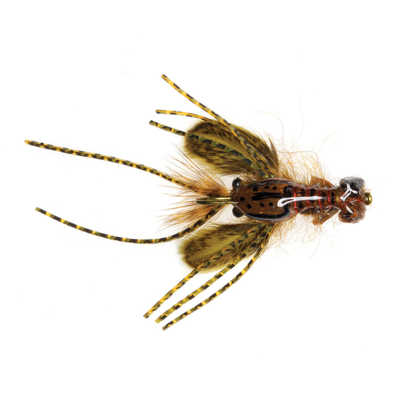 Umpqua Creek Crawler Olive #4 Hada\'s dans le groupe Leurre de la peche / Mouches / Streamers l\'adresse Sportfiskeprylar.se (NFD9656-OL4)