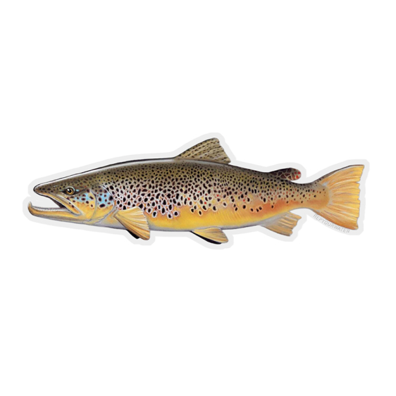 RepYourWater Sticker - Brown Trout dans le groupe Autre / Autocollants l\'adresse Sportfiskeprylar.se (NFD9717)