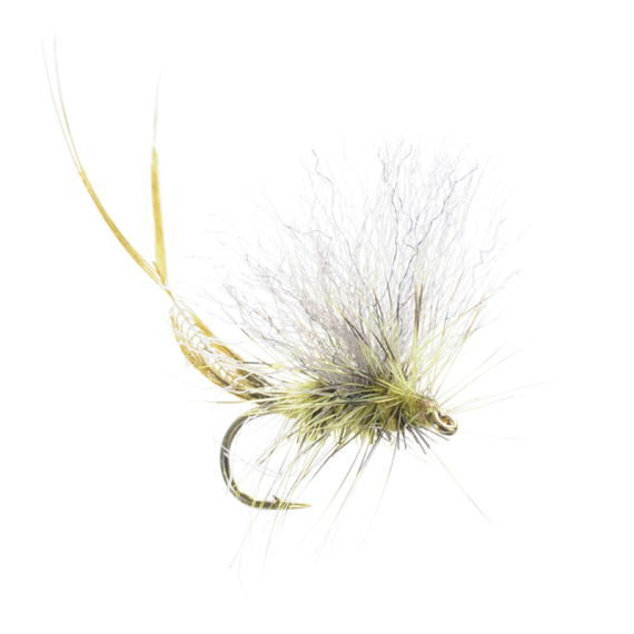 Umpqua Extended Body Brown Drake - #10 dans le groupe Leurre de la peche / Mouches / Mouches sèches l\'adresse Sportfiskeprylar.se (NFD9838-Brown10)