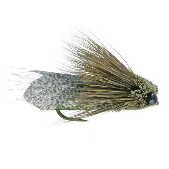 Umpqua Clark\'s Cicada Olive - #10 dans le groupe Leurre de la peche / Mouches / Mouches sèches l\'adresse Sportfiskeprylar.se (NFD9865-10)