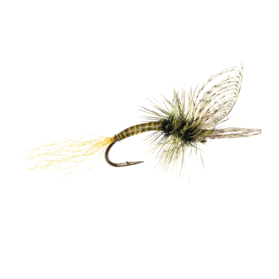 Umpqua Maldos PMD Emerger Maldonado dans le groupe Leurre de la peche / Mouches / Mouches sèches l\'adresse Sportfiskeprylar.se (NFD9870-16r)