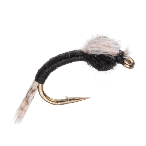 Umpqua WD 40 Black dans le groupe Leurre de la peche / Mouches / Nymphes l\'adresse Sportfiskeprylar.se (NFD9877-Black18r)