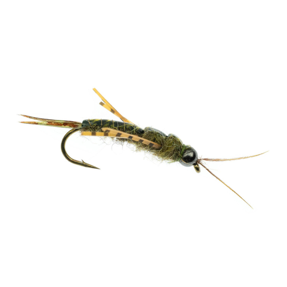 Umpqua Skwala Stone Tungsten Olive dans le groupe Leurre de la peche / Mouches / Mouches mouillées l\'adresse Sportfiskeprylar.se (NFD9886-8r)