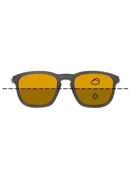 Fortis Strokes - Switch dans le groupe Habits et chaussures / Lunettes de soleil / lunette polarisante peche l\'adresse Sportfiskeprylar.se (NFD9943-ST013)