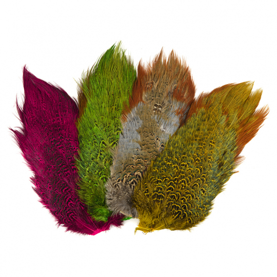 Ringneck Pheasant Rump Patch dans le groupe Hameçons et terminal tackle / Fabrication mouche / Matériel de montage de mouches / Plumes et capes / Capes et selles l\'adresse Sportfiskeprylar.se (NS-210-100r)