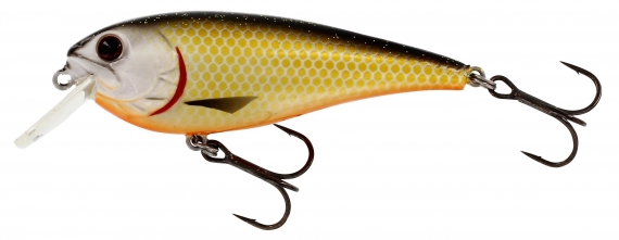 Westin RawBite 7 cm 12 g Floating Official Roach dans le groupe Leurre de la peche / Crankbait / Crankbaits shallow l\'adresse Sportfiskeprylar.se (P048-155-005)