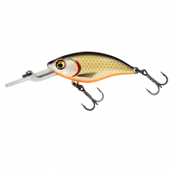 Westin BuzzBite Crankbait 4cm 4g Low Floating - Official Roach dans le groupe Leurre de la peche / Crankbait / Deep Diving Crankbaits l\'adresse Sportfiskeprylar.se (P145-155-159)