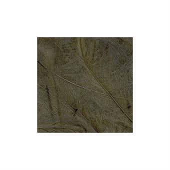 CDC Feathers 1 gr - Bistre dans le groupe Hameçons et terminal tackle / Fabrication mouche / Matériel de montage de mouches / Plumes et capes / CDC l\'adresse Sportfiskeprylar.se (PE-1GR16)