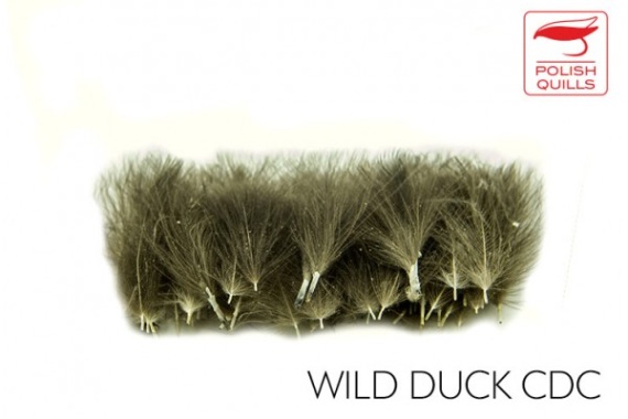 Polish Quill Wild Duck CDC dans le groupe Hameçons et terminal tackle / Fabrication mouche / Matériel fabrication mouche / Plumes et capes / Autres plumes l\'adresse Sportfiskeprylar.se (PQ-WDCDC)