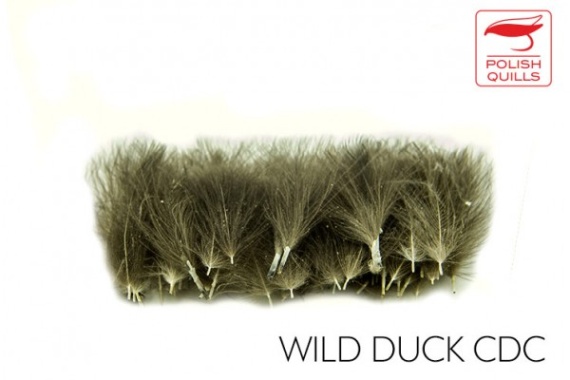 Polish Quill Wild Duck CDC dans le groupe Hameçons et terminal tackle / Fabrication mouche / Matériel de montage de mouches / Plumes et capes / Autres plumes l\'adresse Sportfiskeprylar.se (PQ-WDCDC)