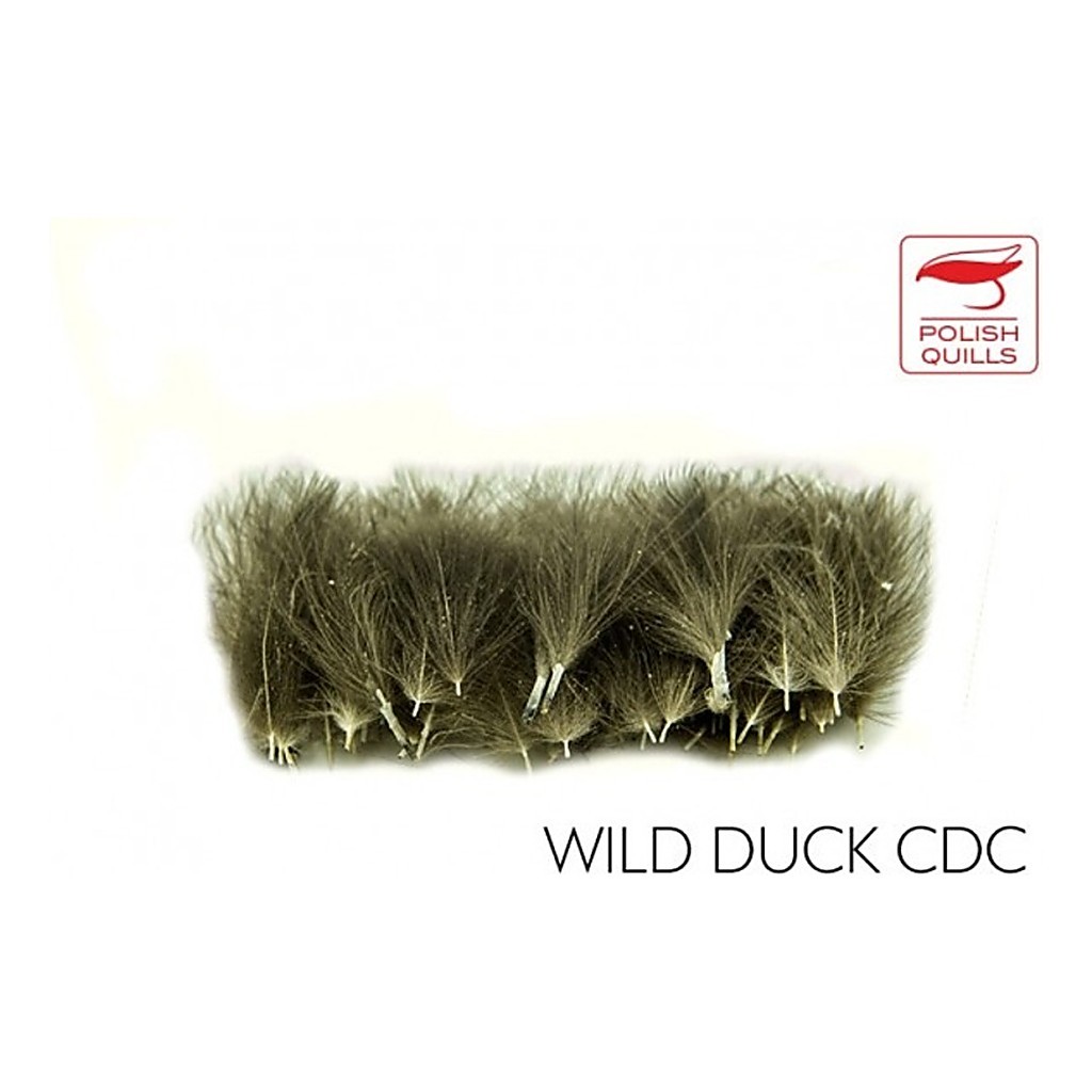Polish Quill Wild Duck CDC dans le groupe Hameçons et terminal tackle / Fabrication mouche / Matériel de montage de mouches / Plumes et capes / Autres plumes l\'adresse Sportfiskeprylar.se (PQ-WDCDC)