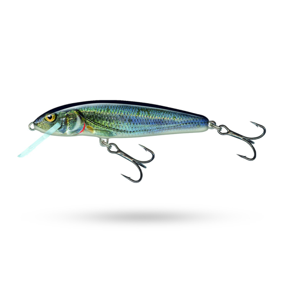 Salmo Minnow Floating dans le groupe Leurre de la peche / Crankbait / Crankbaits shallow l\'adresse Sportfiskeprylar.se (QMW002r)