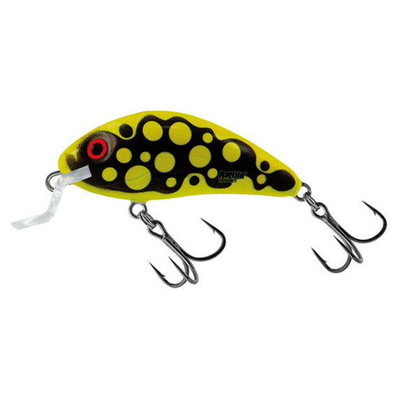 Salmo H4 5SR dans le groupe Leurre de la peche / Crankbait / Crankbaits shallow l\'adresse Sportfiskeprylar.se (QRH443r)