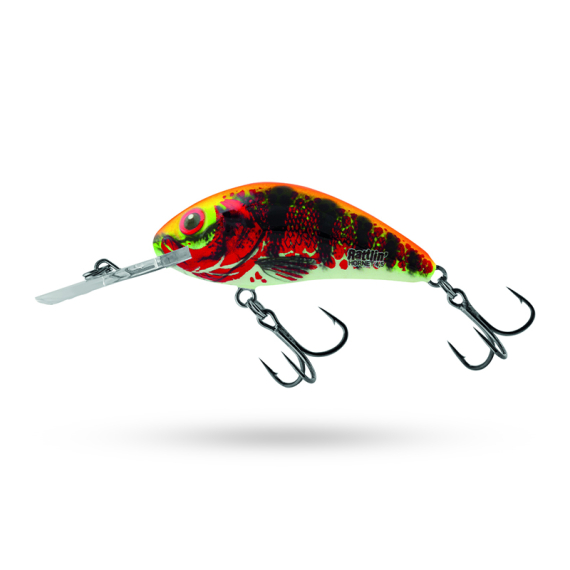 Salmo Rattlin\' Hornet 5.5cm - Holo Red Perch dans le groupe Leurre de la peche / Crankbait / Deep Diving Crankbaits l\'adresse Sportfiskeprylar.se (QRH517)