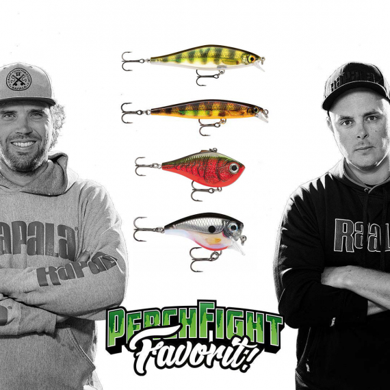 Team Rapala PerchFight Favoriter Hårdbete dans le groupe Leurre de la peche / Crankbait l\'adresse Sportfiskeprylar.se (R-PFF2)
