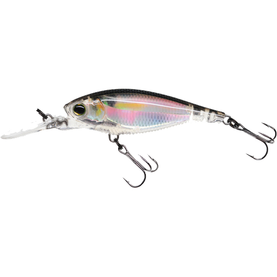 YO-Zuri 3DR Shad SP70 dans le groupe Leurre de la peche / Crankbait / Deep Diving Crankbaits l\'adresse Sportfiskeprylar.se (R1312-RGLMr)
