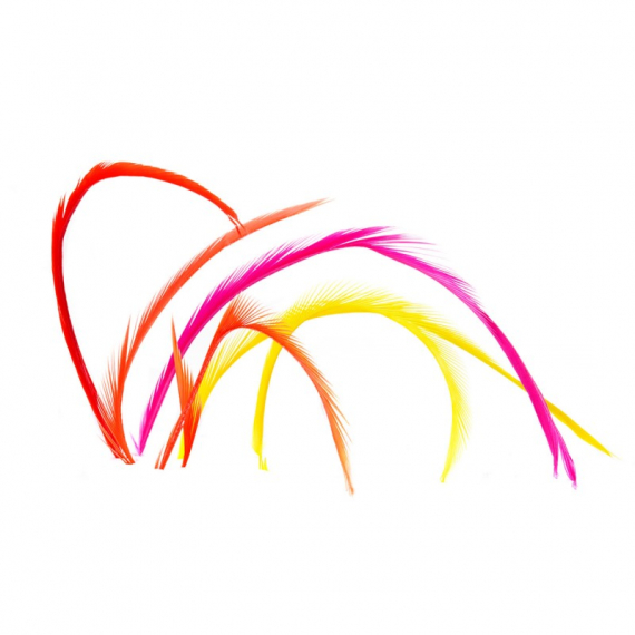 Goosebiots dans le groupe Hameçons et terminal tackle / Fabrication mouche / Matériel de montage de mouches / Plumes et capes / Hackle l\'adresse Sportfiskeprylar.se (V5048r)