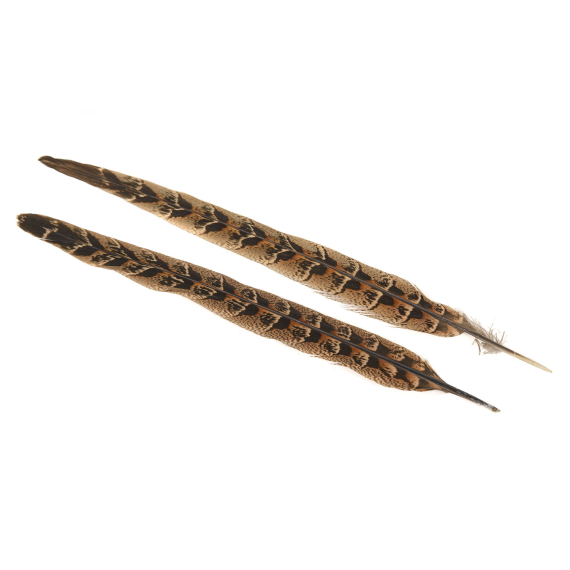 Pheasant Hen Ringneck Centre Tails dans le groupe Hameçons et terminal tackle / Fabrication mouche / Matériel de montage de mouches / Plumes et capes / Hackle l\'adresse Sportfiskeprylar.se (V5151)