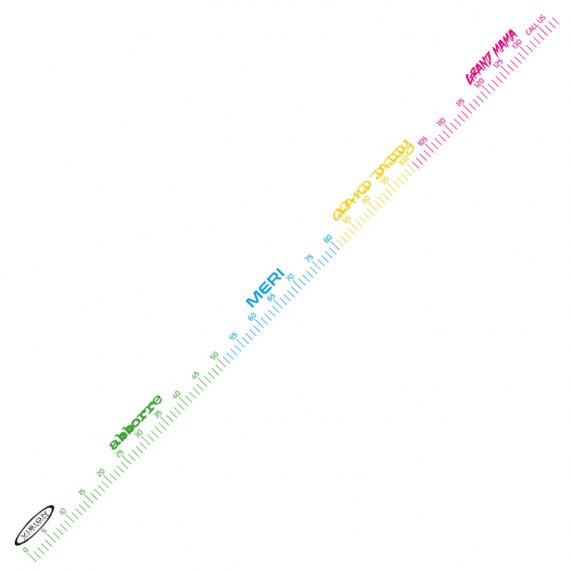 Vision Fish Measure Sticker dans le groupe Autre / Autocollants l\'adresse Sportfiskeprylar.se (VS10)