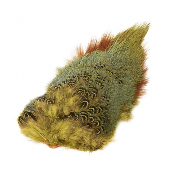 Ringneck Rump Patch dans le groupe Hameçons et terminal tackle / Fabrication mouche / Matériel de montage de mouches / Plumes et capes / Capes et selles l\'adresse Sportfiskeprylar.se (W-PSR010r)