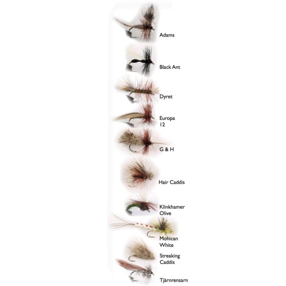 Dry Fly 2 10-pack dans le groupe Leurre de la peche / Mouches / Mouches sèches l\'adresse Sportfiskeprylar.se (WFB1224)