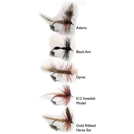Dry Fly 2 5-pack dans le groupe Leurre de la peche / Mouches / Mouches sèches l\'adresse Sportfiskeprylar.se (WFB124)
