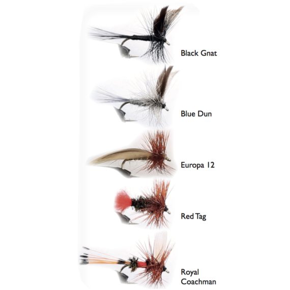 Dry Fly 1 5-pack dans le groupe Leurre de la peche / Mouches / Mouches sèches l\'adresse Sportfiskeprylar.se (WFB143)