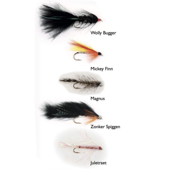 Seatrout Classics 5-pack dans le groupe Leurre de la peche / Mouches / Mouche côte l\'adresse Sportfiskeprylar.se (WFB69)
