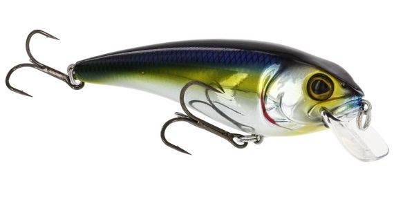 Westin RawBite 11cm 27g Low Floating dans le groupe Leurre de la peche / Crankbait / Crankbaits shallow l\'adresse Sportfiskeprylar.se (WS14112r)